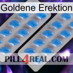 Golden Erection 23